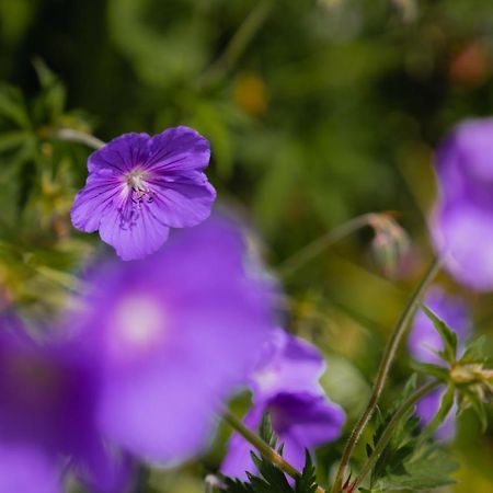 Oberlech750. Refugium Am Berg. Daire Dış mekan fotoğraf